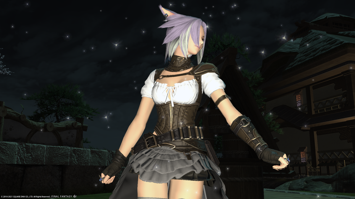 f:id:nighteye001:20210117153516p:plain