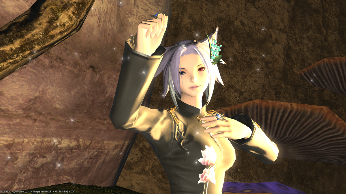 f:id:nighteye001:20210128142932p:plain