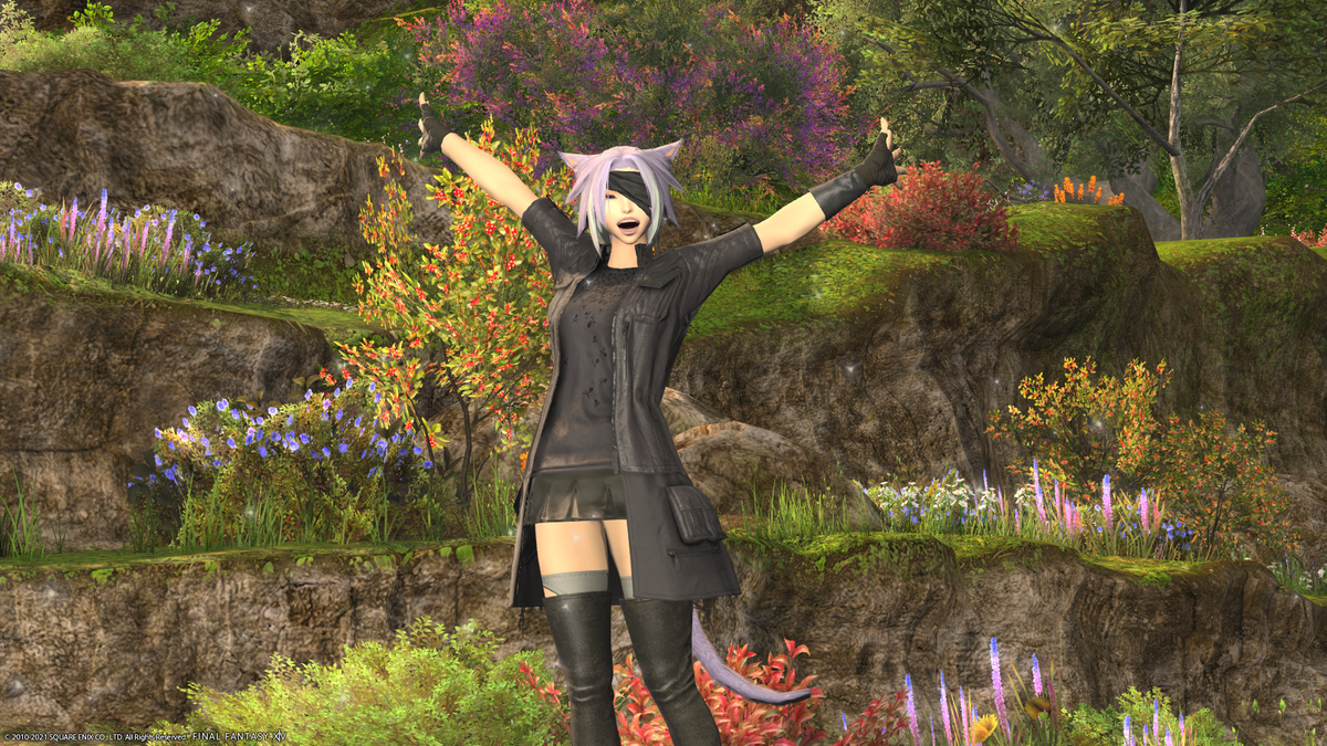 f:id:nighteye001:20210226175228p:plain