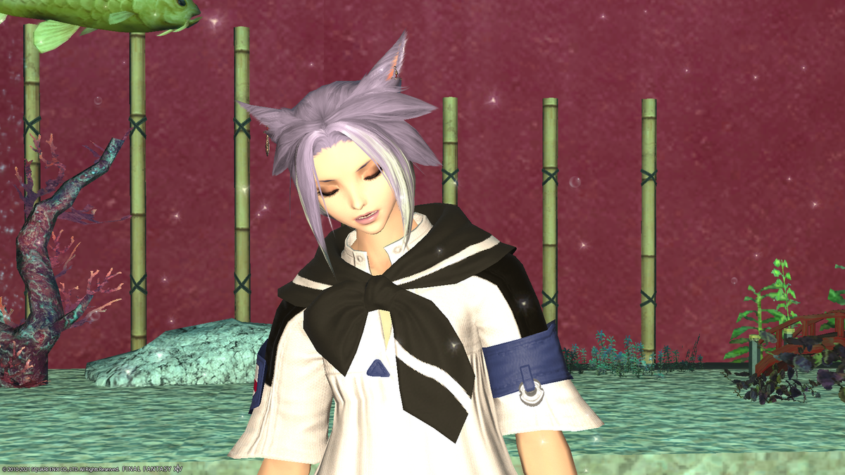 f:id:nighteye001:20210302212736p:plain