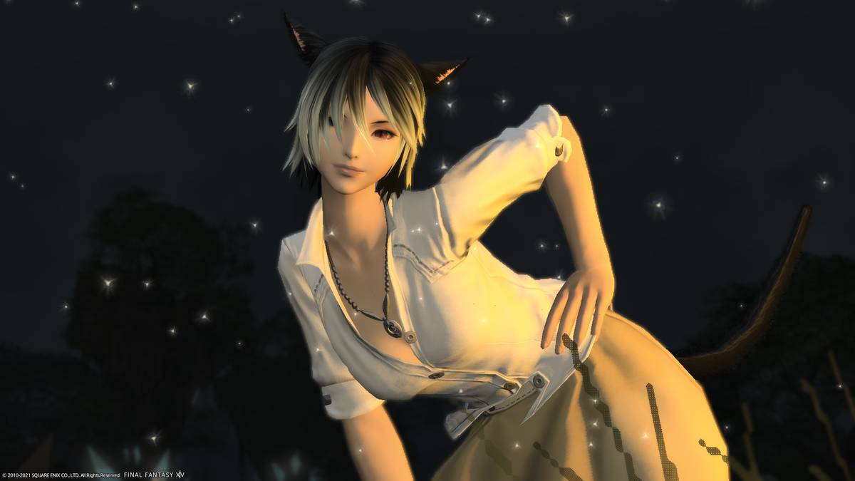 f:id:nighteye001:20210509162732p:plain