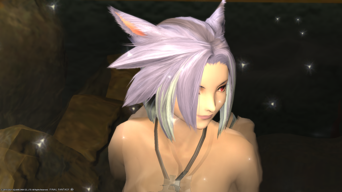 f:id:nighteye001:20210522193501p:plain