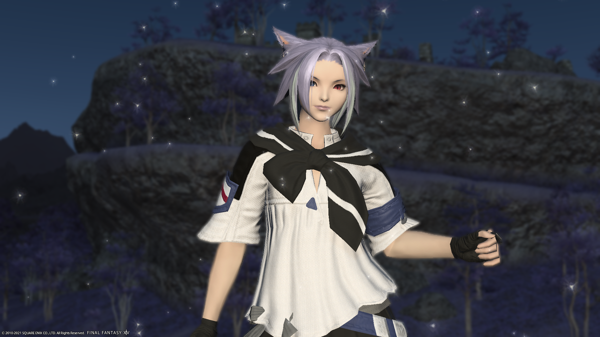 f:id:nighteye001:20210602030111p:plain