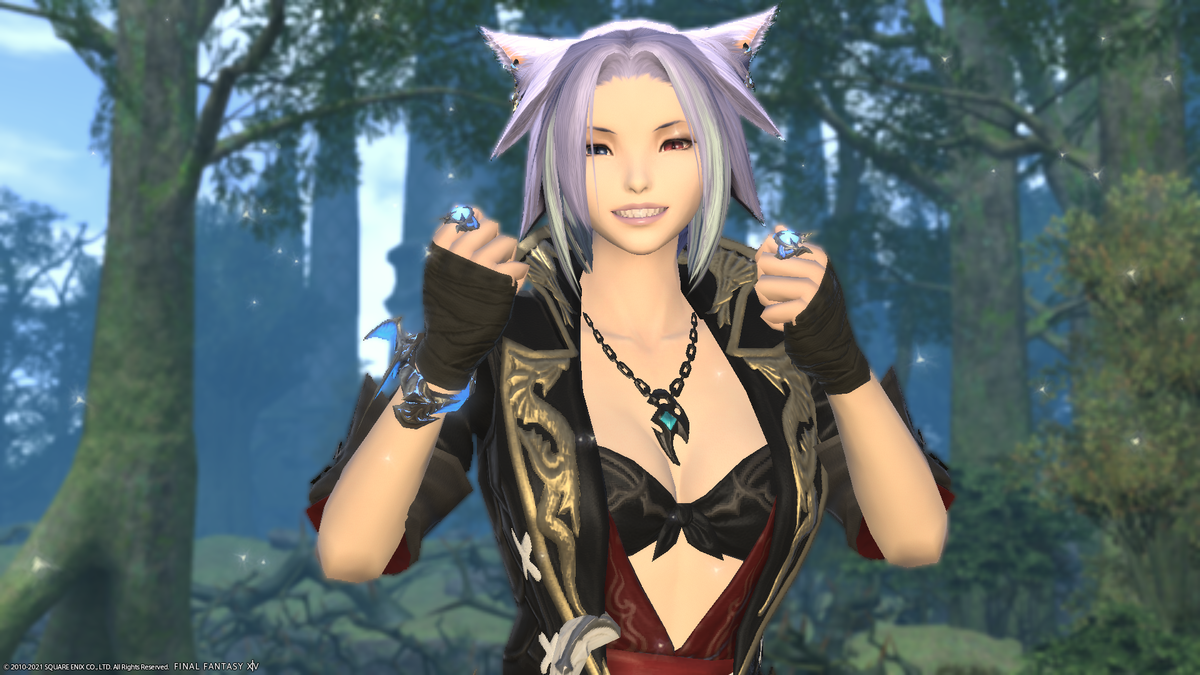 f:id:nighteye001:20210606052047p:plain