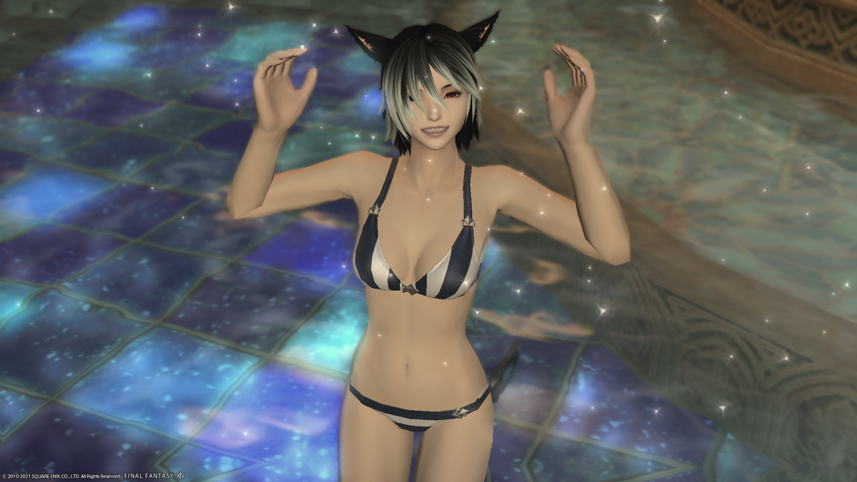 f:id:nighteye001:20210609062205p:plain
