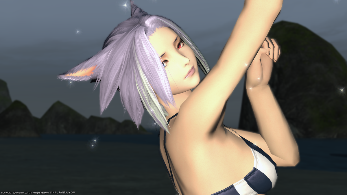 f:id:nighteye001:20210626231216p:plain