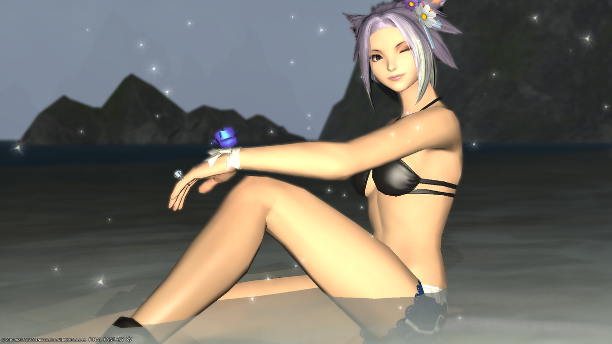 f:id:nighteye001:20210630171528p:plain