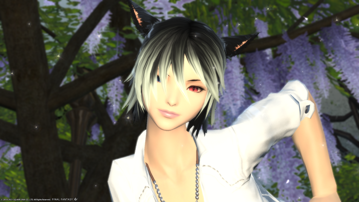 f:id:nighteye001:20210705110142p:plain