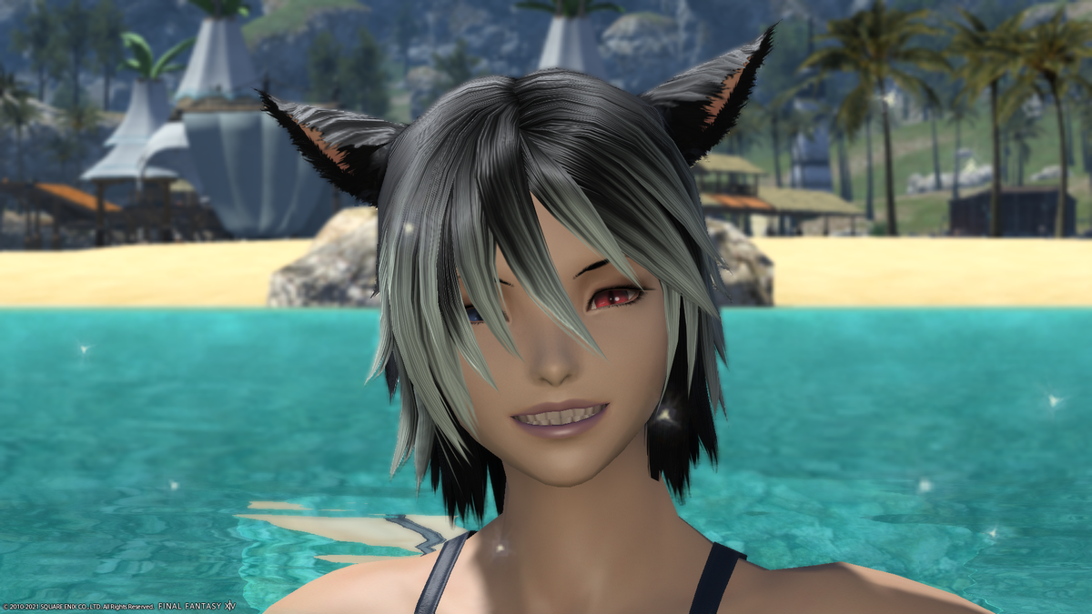 f:id:nighteye001:20210725070152p:plain