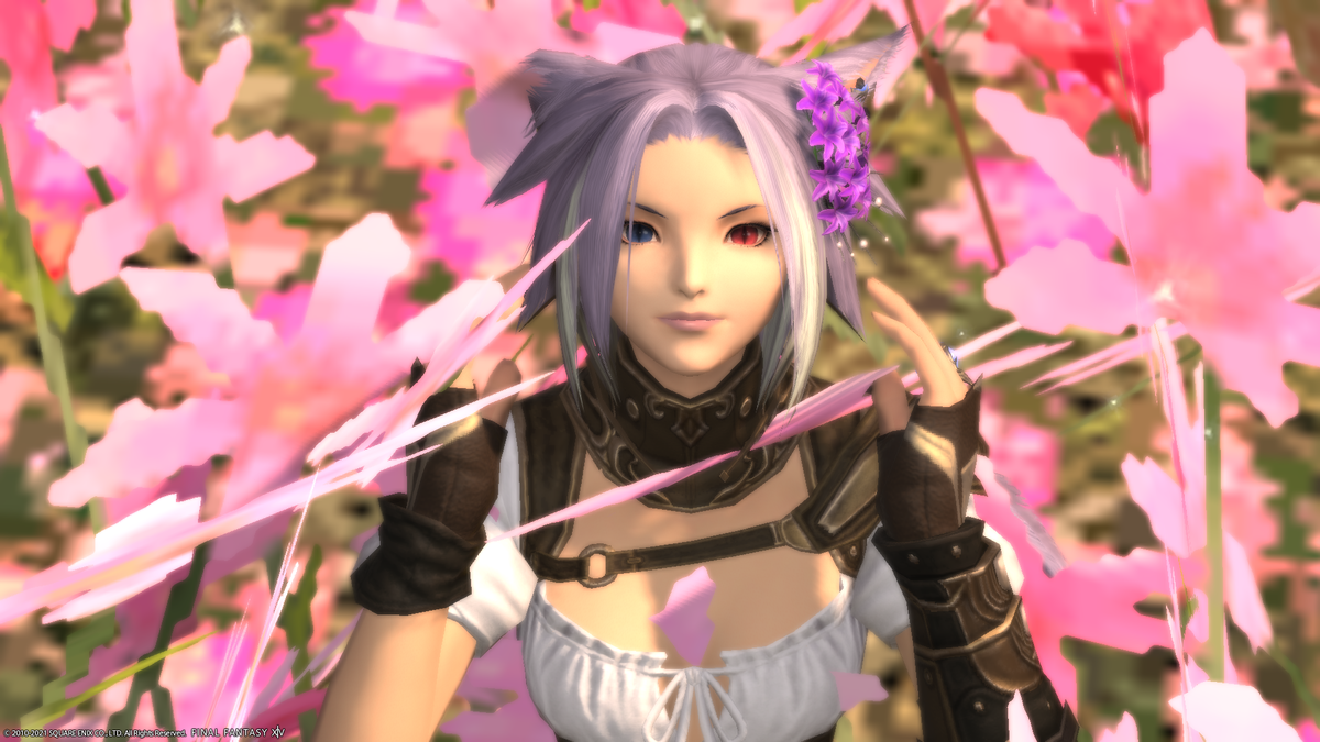 f:id:nighteye001:20210911131452p:plain