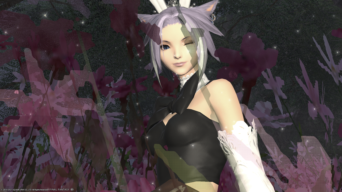 f:id:nighteye001:20211118155356p:plain