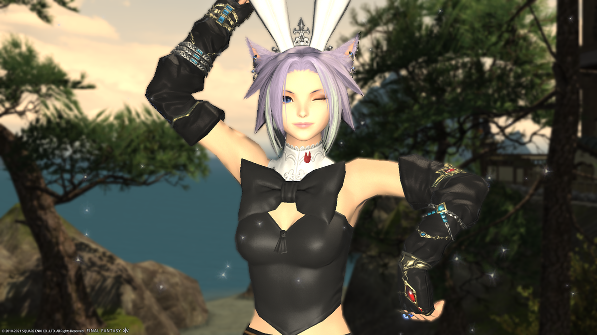 f:id:nighteye001:20211123132929p:plain