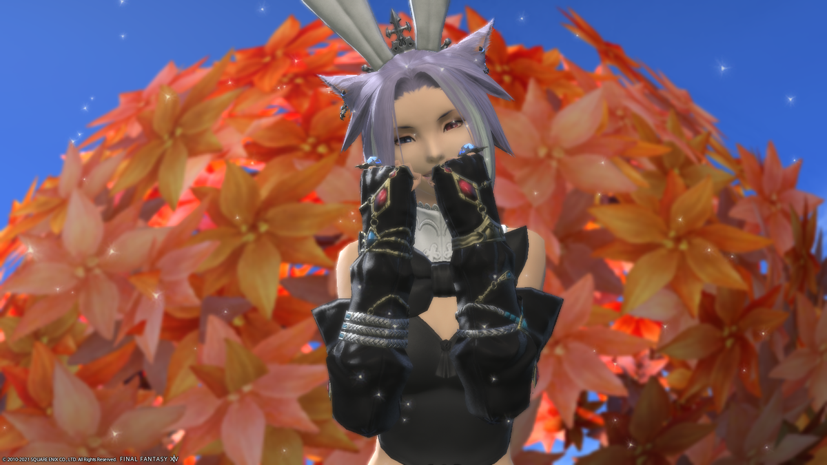 f:id:nighteye001:20211125120706p:plain