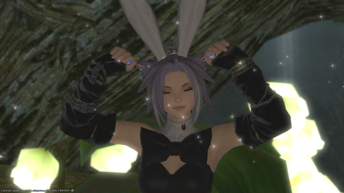 f:id:nighteye001:20211126165254p:plain