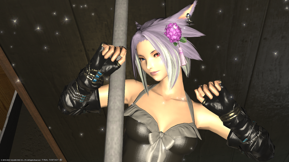 f:id:nighteye001:20220114101312p:plain