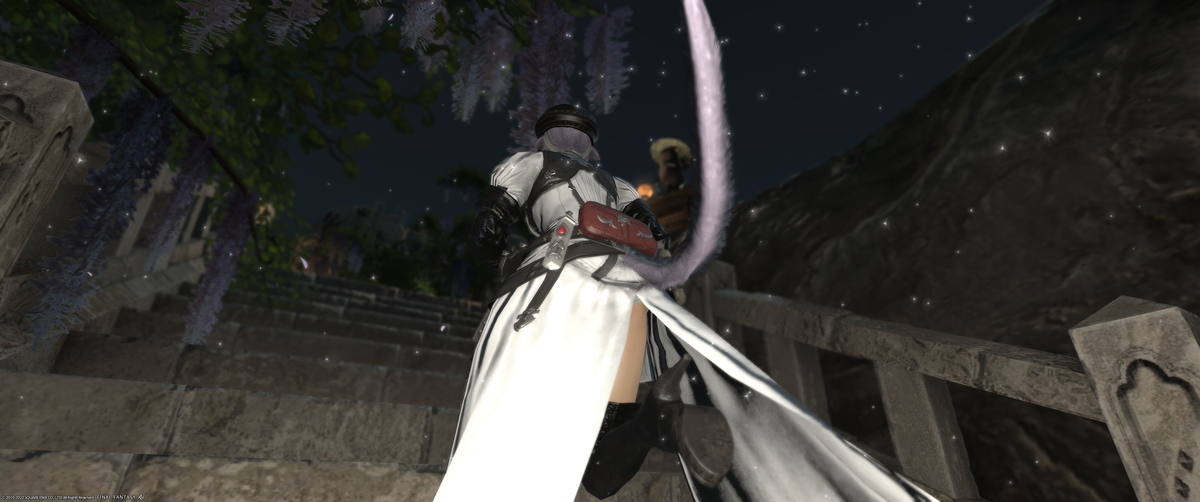 f:id:nighteye001:20220406103936p:plain