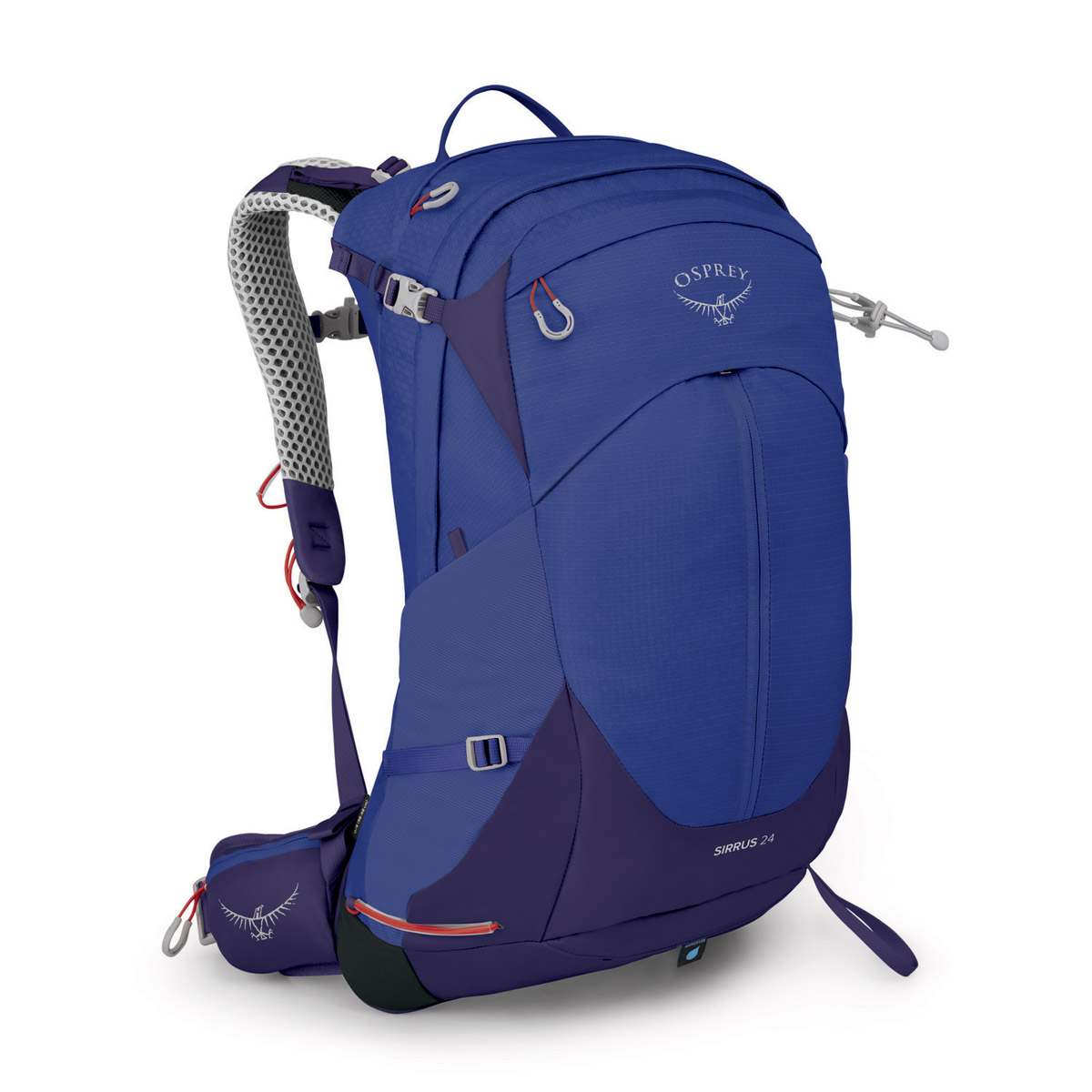 ー シラス 24 表面 ー