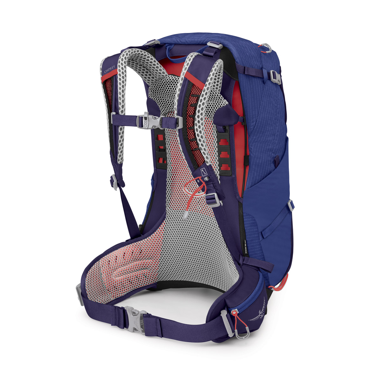 ー シラス 24 背面 ー