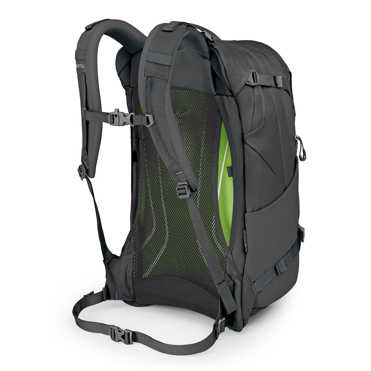 ー トロポス 背面 ー