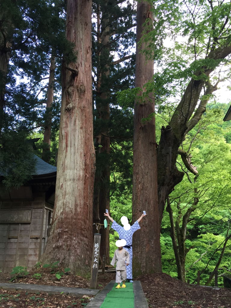 f:id:nigoriyu:20160505140110p:image