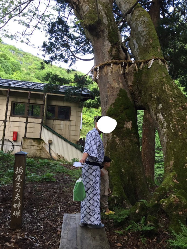 f:id:nigoriyu:20160505140111p:image