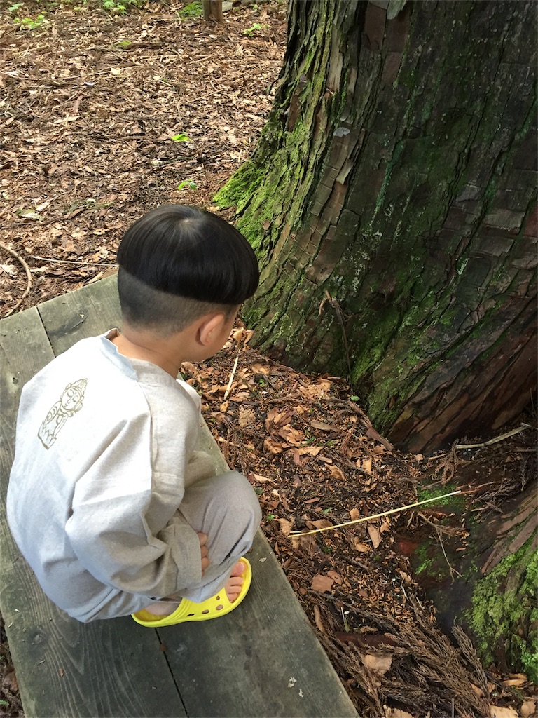 f:id:nigoriyu:20160505140620j:image