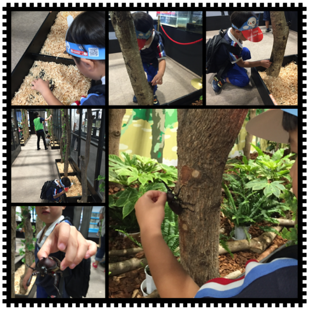 f:id:nigoriyu:20160721104615p:image f:id:nigoriyu:20160721104615p:image