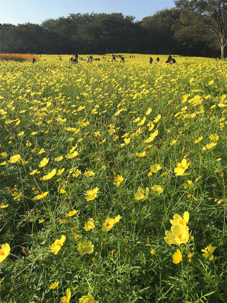 f:id:nigoriyu:20161015223549j:image