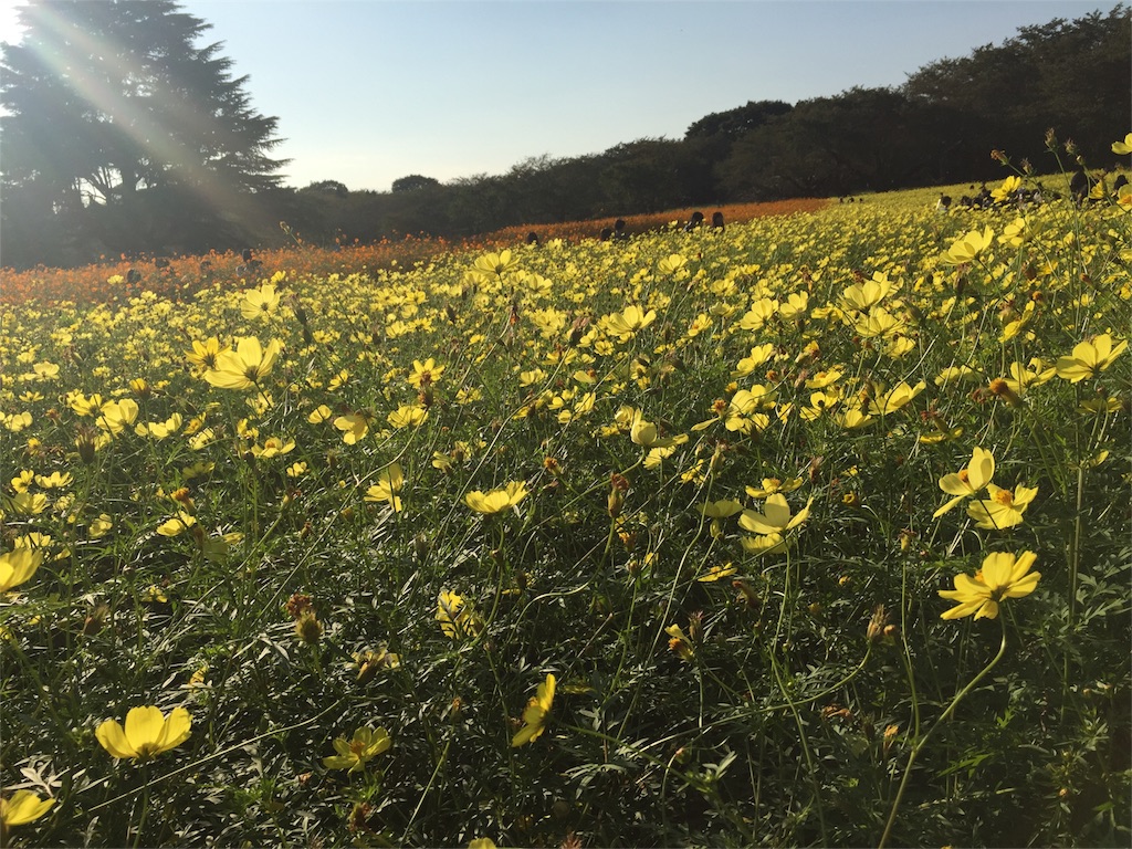 f:id:nigoriyu:20161015225510j:image