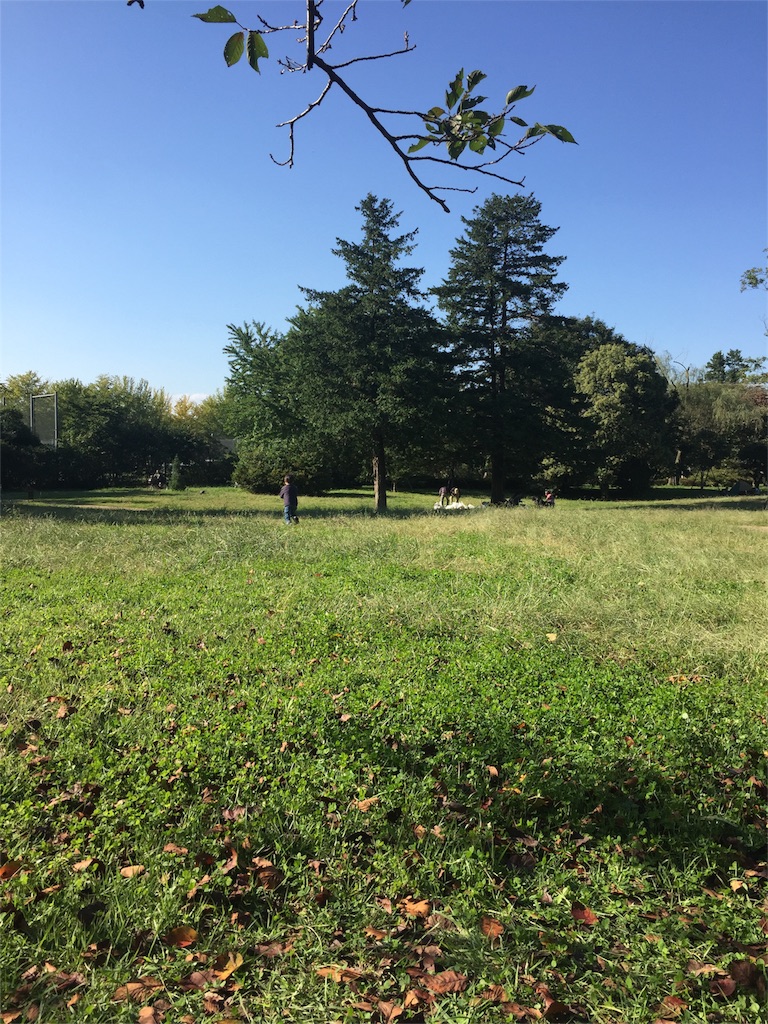 f:id:nigoriyu:20161015225547j:image