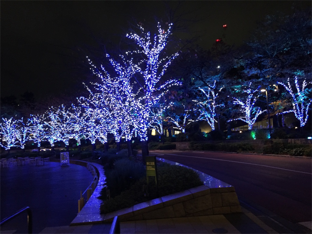 f:id:nigoriyu:20161118222628j:image