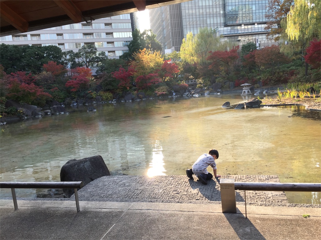 f:id:nigoriyu:20161118234019j:image f:id:nigoriyu:20161118234019j:image