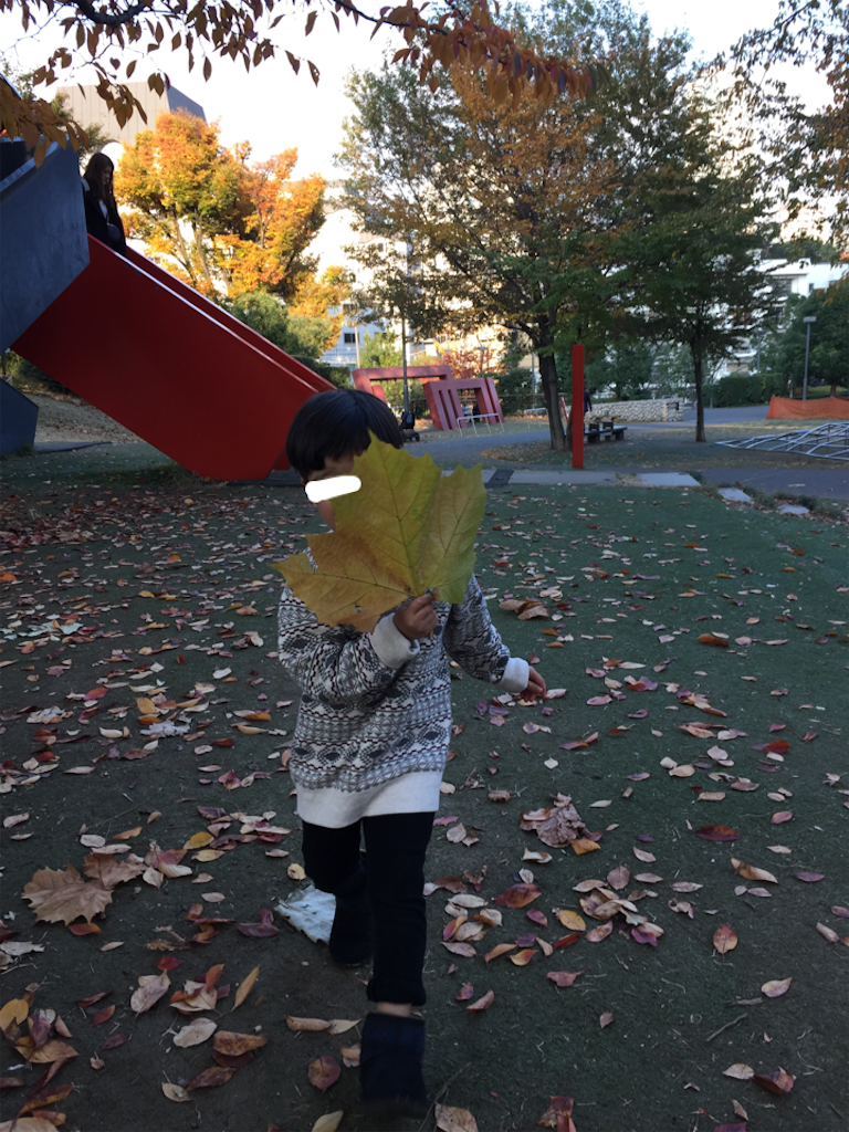 f:id:nigoriyu:20161119193856p:image f:id:nigoriyu:20161119193856p:image