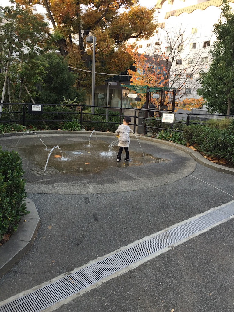 f:id:nigoriyu:20161119193925j:image f:id:nigoriyu:20161119193925j:image