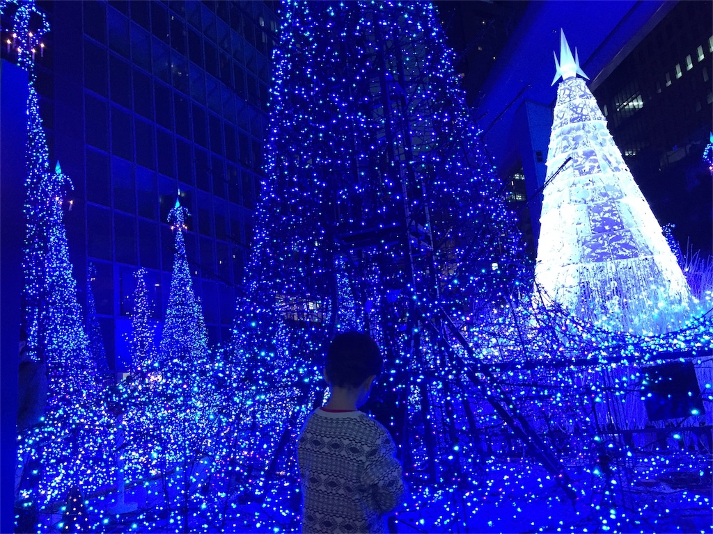 f:id:nigoriyu:20161205210827j:image