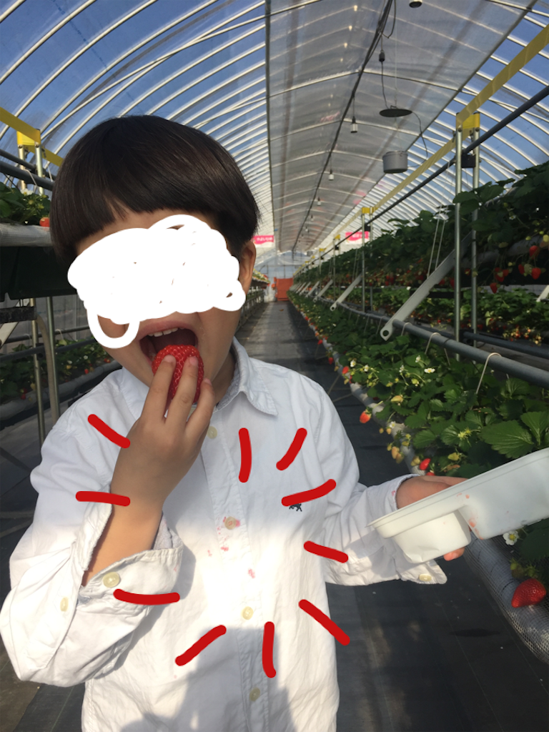 f:id:nigoriyu:20170107205528p:image