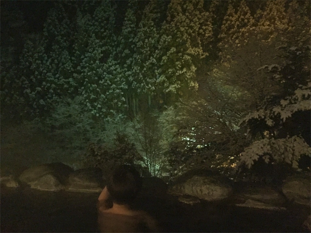 f:id:nigoriyu:20170121160435j:image