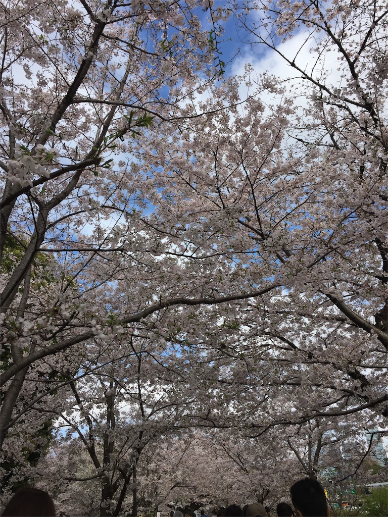 f:id:nigoriyu:20170409220948j:image f:id:nigoriyu:20170409220948j:image