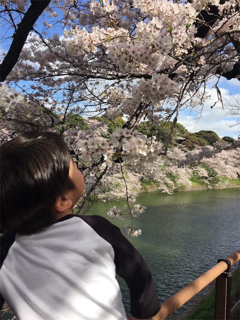 f:id:nigoriyu:20170409222005j:image f:id:nigoriyu:20170409222005j:image