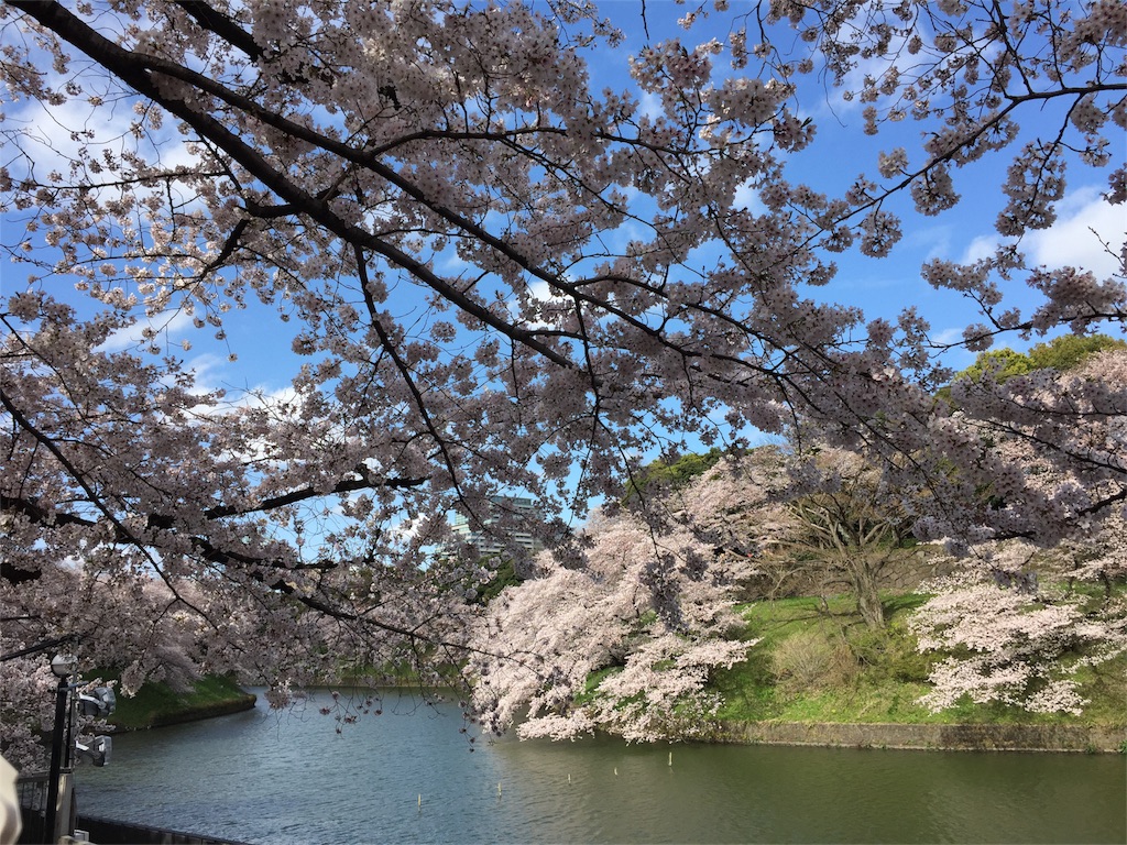 f:id:nigoriyu:20170409222053j:image f:id:nigoriyu:20170409222053j:image