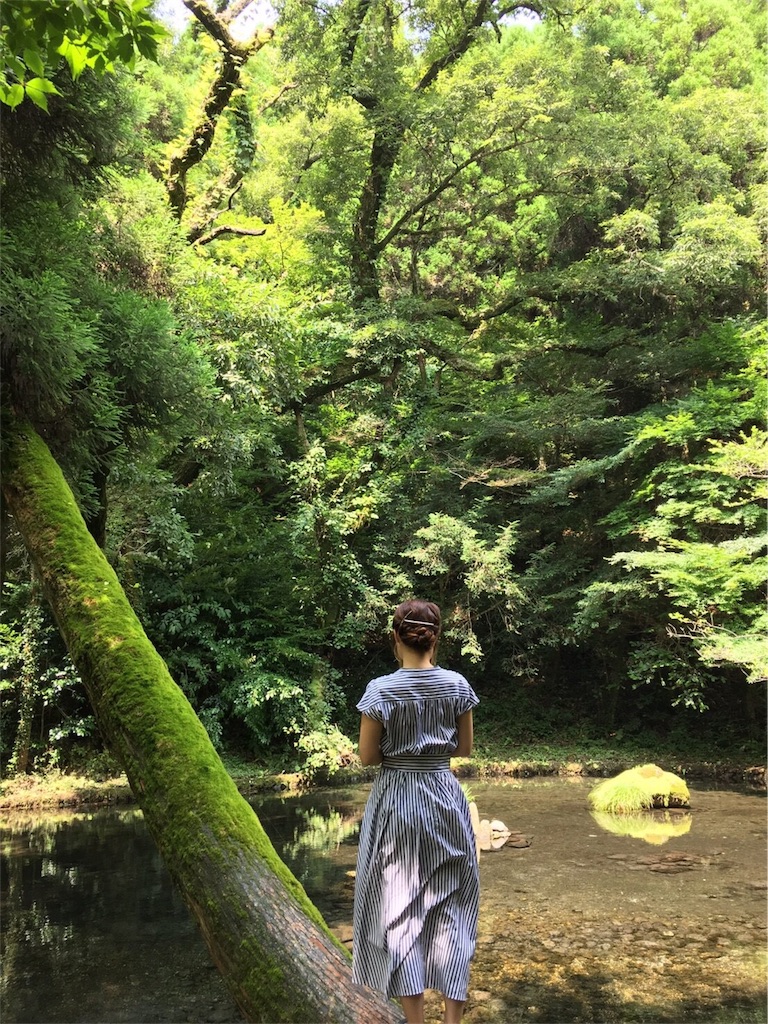 f:id:nigoriyu:20170808214435j:image