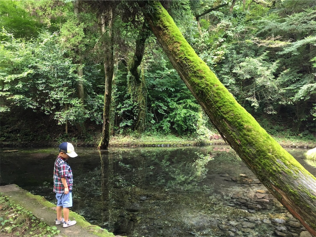 f:id:nigoriyu:20170808214621j:image