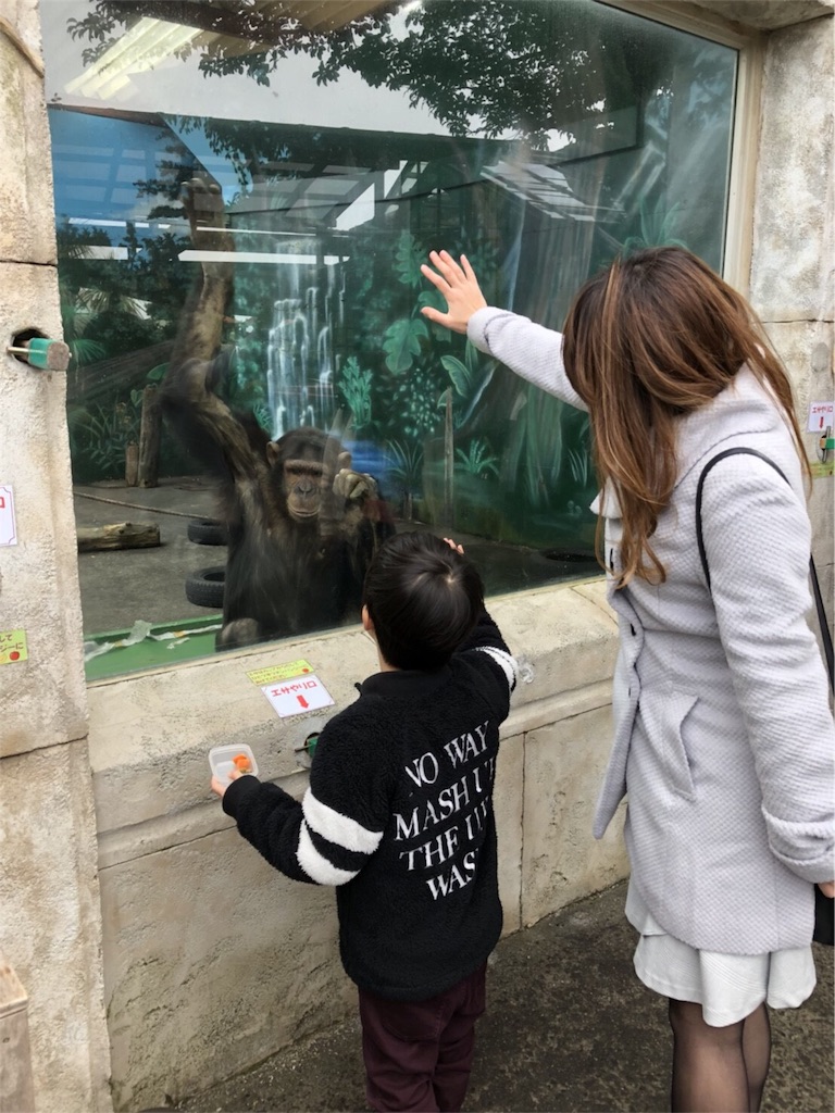f:id:nigoriyu:20180121194023j:image f:id:nigoriyu:20180121194023j:image