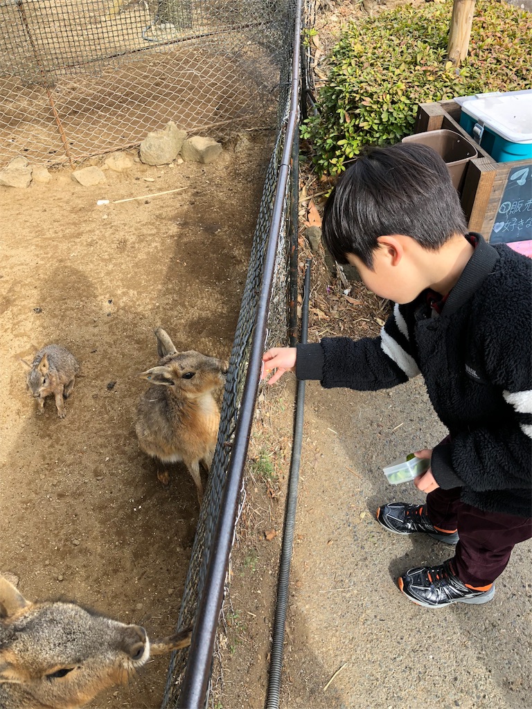 f:id:nigoriyu:20180121210331j:image f:id:nigoriyu:20180121210331j:image