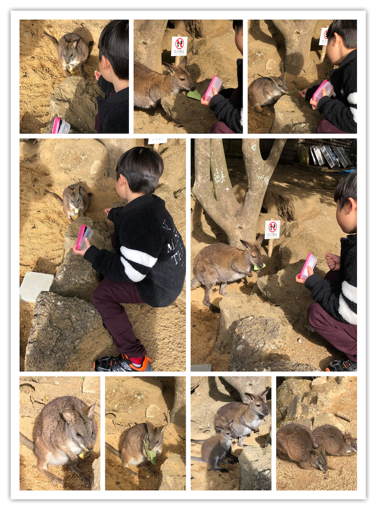f:id:nigoriyu:20180122001645p:image f:id:nigoriyu:20180122001645p:image