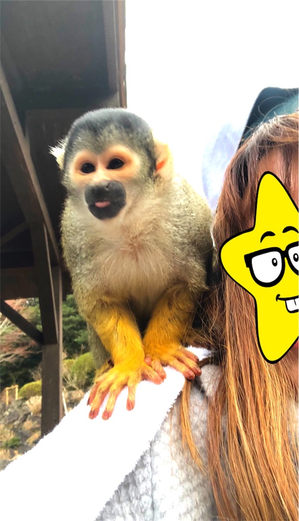 f:id:nigoriyu:20180122164040j:image f:id:nigoriyu:20180122164040j:image