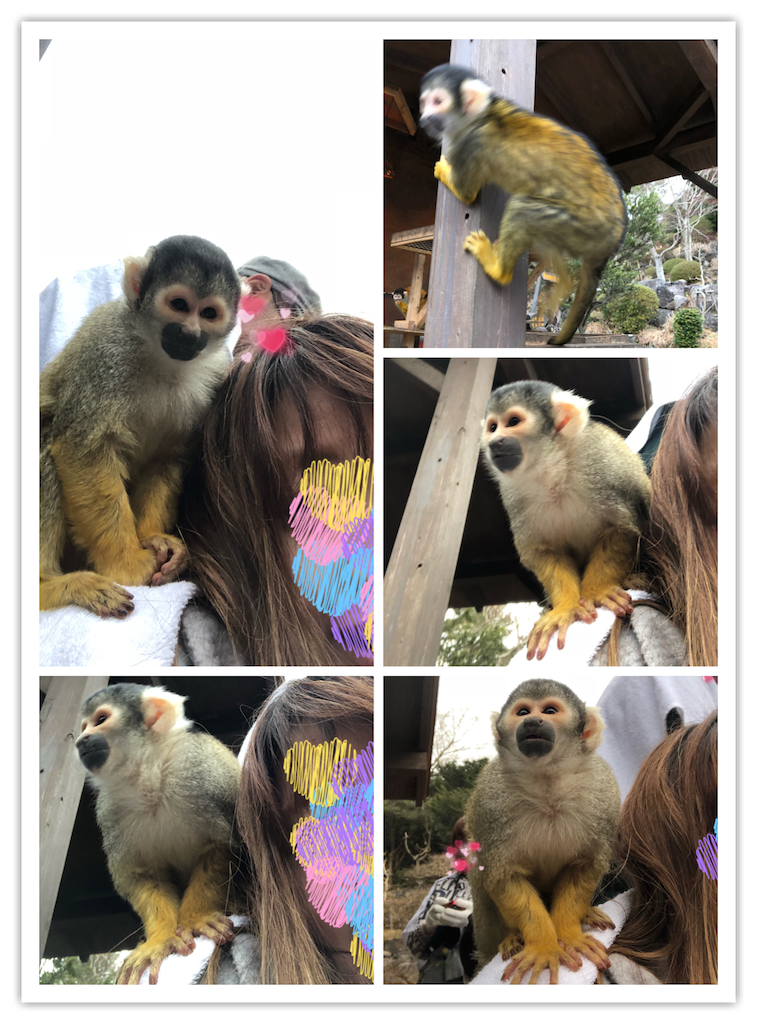 f:id:nigoriyu:20180122165921p:image f:id:nigoriyu:20180122165921p:image