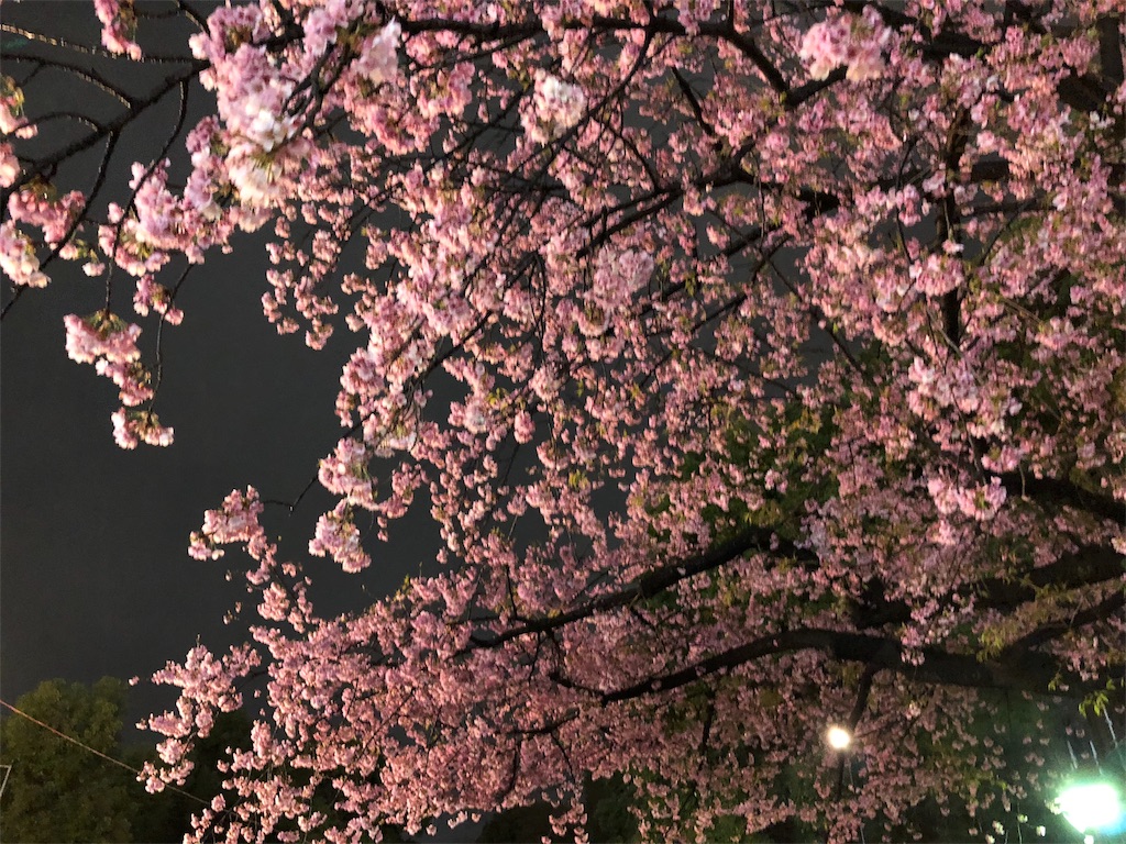 f:id:nigoriyu:20180317125004j:image