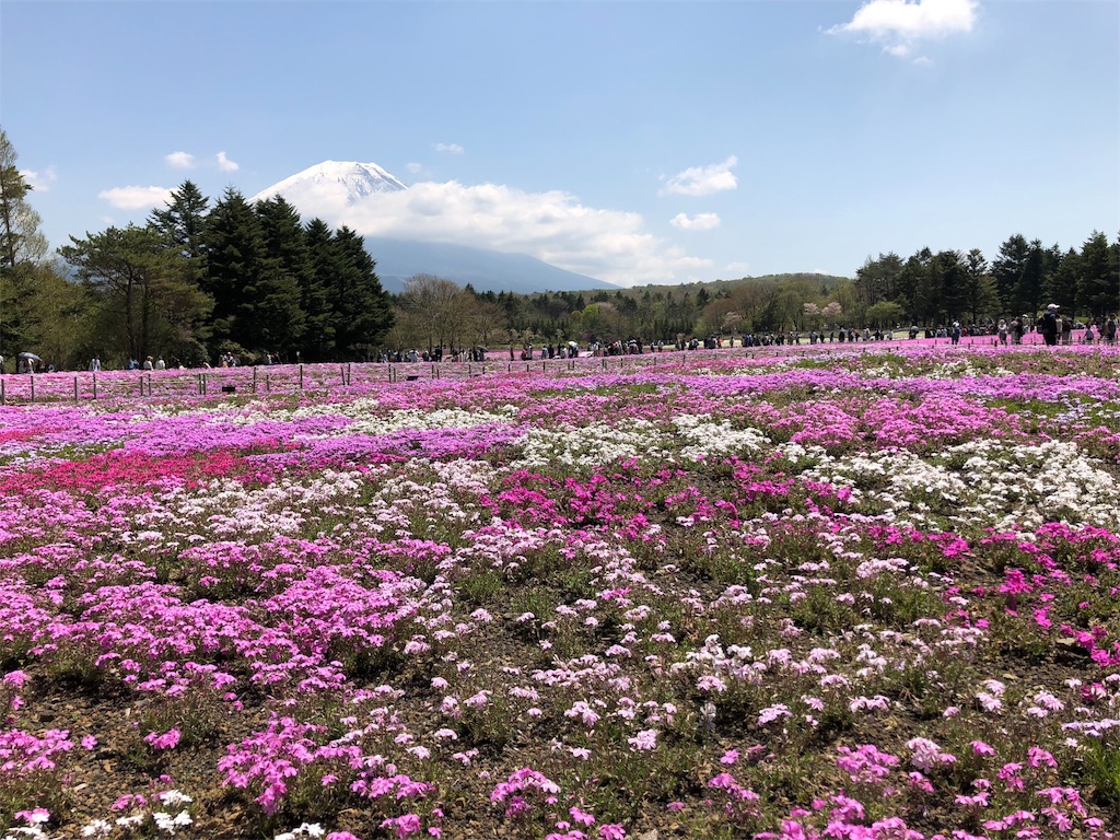 f:id:nigoriyu:20180506010605j:image