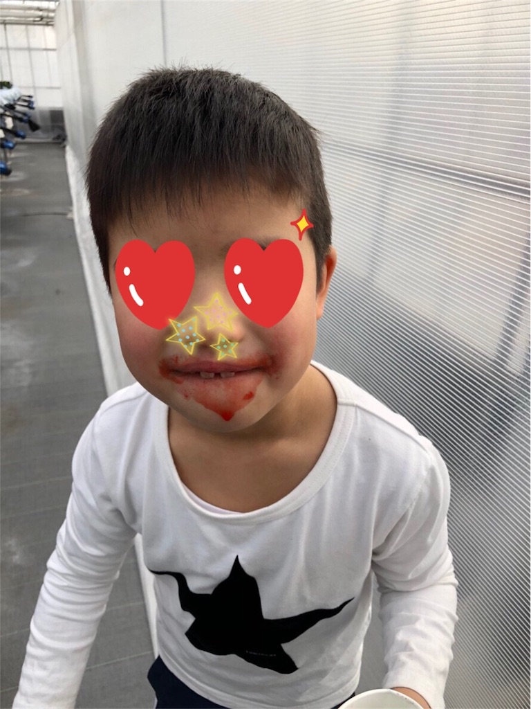 f:id:nigoriyu:20190113234901j:image f:id:nigoriyu:20190113234901j:image